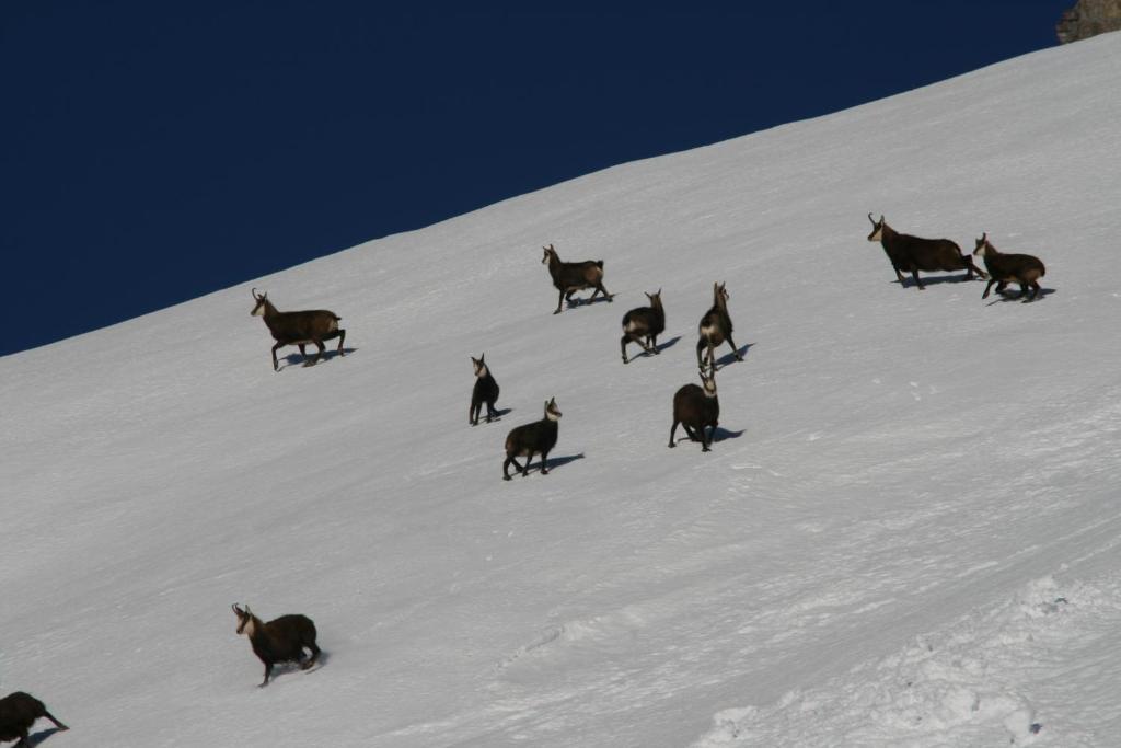 Landhaus Flunger Sankt Anton am Arlberg Kültér fotó